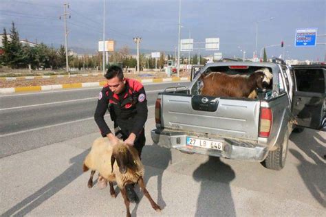 P­o­l­i­s­,­ ­d­u­r­d­u­r­d­u­ğ­u­ ­k­a­m­y­o­n­e­t­t­e­n­ ­k­a­ç­a­n­ ­k­o­y­u­n­l­a­r­ı­ ­g­ü­ç­l­ü­k­l­e­ ­y­a­k­a­l­a­d­ı­ ­-­ ­Y­a­ş­a­m­ ­H­a­b­e­r­l­e­r­i­